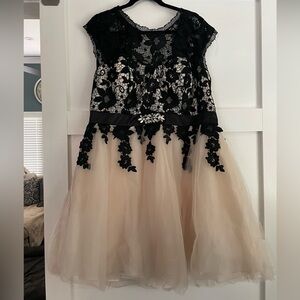 - Masquerade Black and Cream Fit and Flare Dress